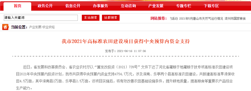唐山网站建设：构筑数字桥梁的新时代选择